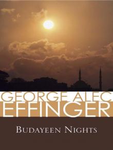 Budayeen Nights