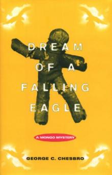 Dream of a Falling Eagle Dream of a Falling Eagle