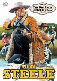 The Big Prize (Adam Steele #29)