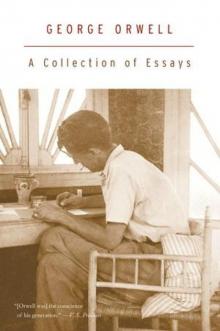 A Collection of Essays A Collection of Essays