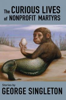 The Curious Lives of Nonprofit Martyrs The Curious Lives of Nonprofit Martyrs