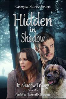 Hidden in Shadow