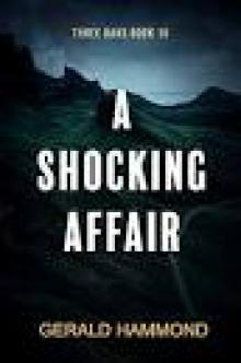 A Shocking Affair (Three Oaks Book 10) A Shocking Affair (Three Oaks Book 10)