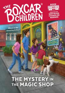 The Mystery in the Magic Shop