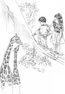 The Mystery of the Mixed-Up Zoo
