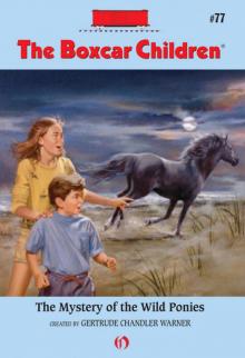 The Mystery of the Wild Ponies The Mystery of the Wild Ponies