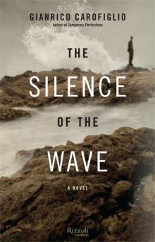 The Silence of the Wave The Silence of the Wave