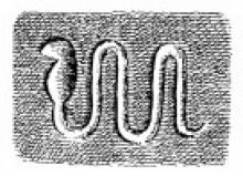 The Spitting Cobra The Spitting Cobra