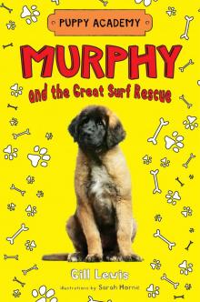 Murphy and the Great Surf Rescue Murphy and the Great Surf Rescue