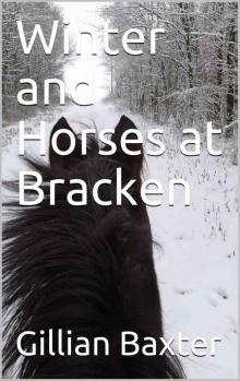 Winter and Horses at Bracken