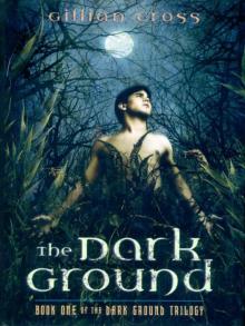 The Dark Ground