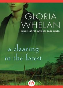 A Clearing in the Forest A Clearing in the Forest