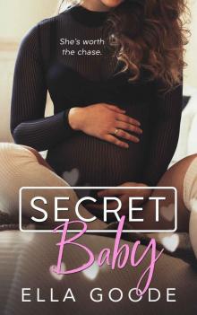 Secret Baby Secret Baby