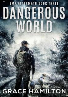 Dangerous World