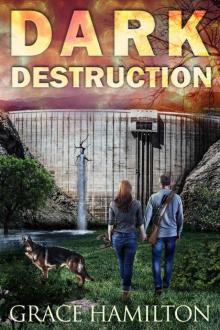 Dark Destruction (EMP Lodge Series Book 4)
