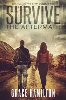 Survive the Aftermath (Small Town EMP Book 2)