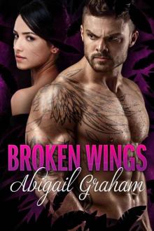 Broken Wings (A Romantic Suspense)