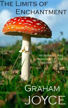 The Limits of Enchantment The Limits of Enchantment