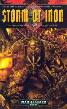 Storm of Iron (warhammer 40000 )