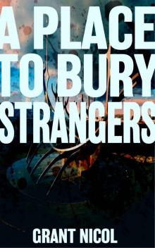 A Place To Bury Strangers A Place To Bury Strangers