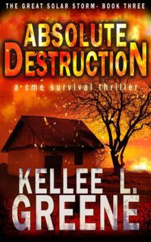 The Great Solar Storm | Book 3 | Absolute Destruction