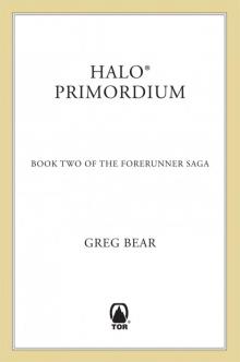Primordium