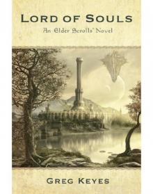 Lord of Souls: An Elder Scrolls Novel