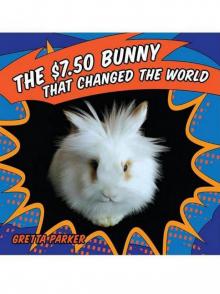 The $7.50 Bunny That Changed the World