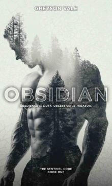 Obsidian: The Sentinel Code Book One Obsidian: The Sentinel Code Book One
