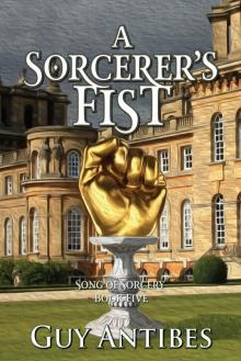 A Sorcerer's Fist
