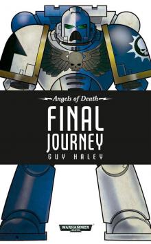 Final Journey Final Journey