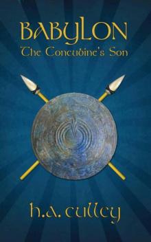 The Concubine's Son