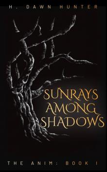 Sunrays Among Shadows Sunrays Among Shadows