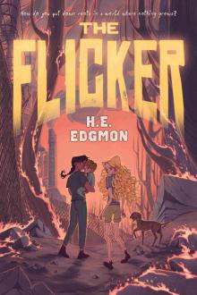 The Flicker The Flicker
