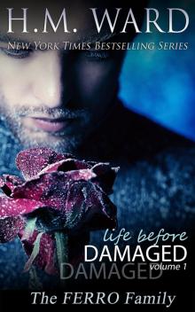 Life Before Damaged, Vol. 1