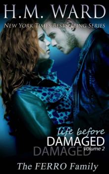 Life Before Damaged Vol. 2 (The Ferro Family) (LIFE BEFORE DAMAGED (The Ferro Family))