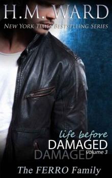 Life Before Damaged Vol. 3