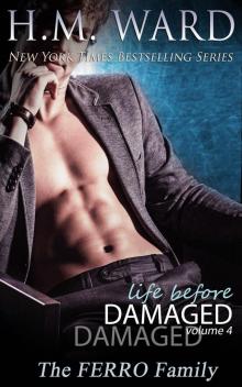 Life Before Damaged Vol. 4