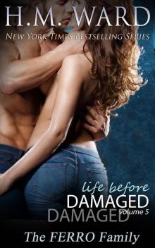 Life Before Damaged, Vol. 5