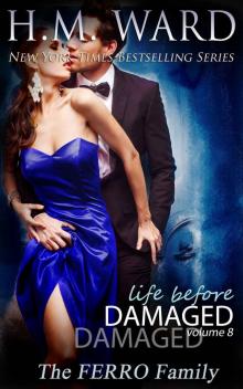 Life Before Damaged Vol 8: The Ferro Family (Life Before Damaged #8)