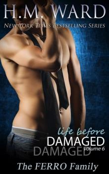 Life Before Damaged, Volume 6: The Ferro Family