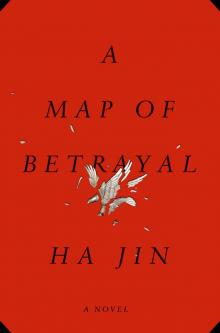 A Map of Betrayal: A Novel