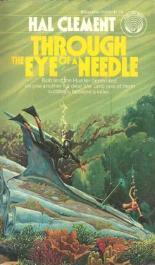 Through the Eye of a Needle