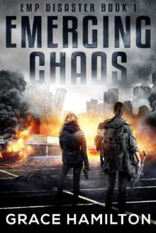 EMP Disaster | Book 1 | Emerging Chaos