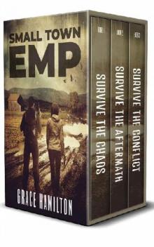 Small Town EMP Box Set [Books 1-3]