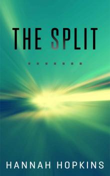 The Split (The Mayfly Series Book 1) The Split (The Mayfly Series Book 1)