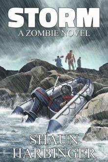 Undead Rain (Book 2): Storm Undead Rain (Book 2): Storm