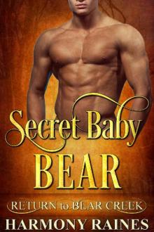 Secret Baby Bear Secret Baby Bear