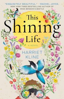 This Shining Life This Shining Life