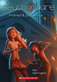 Framed & Dangerous (9780545443128)